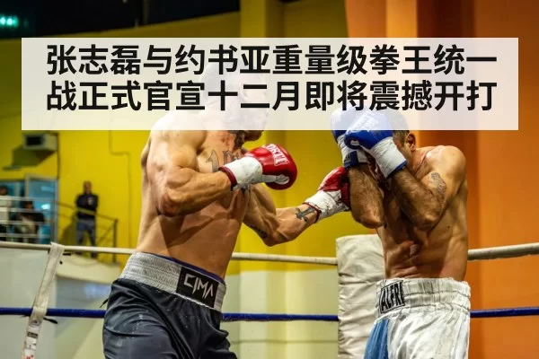 heavyweight boxing fight
