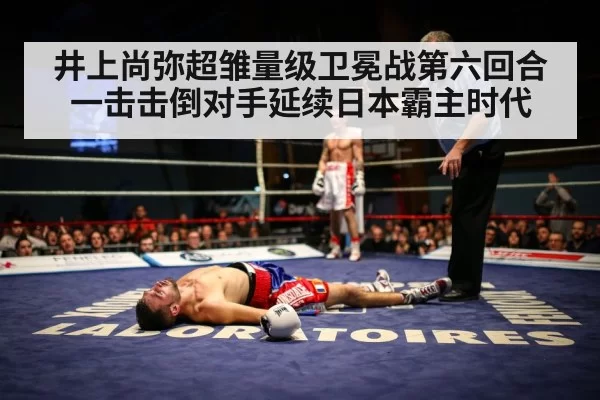 井上尚弥超雏量级卫冕战第六回合一击击倒对手延续日本霸主时代