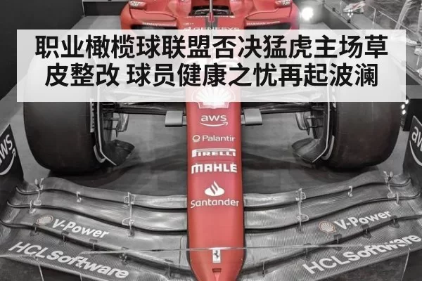 职业橄榄球联盟否决猛虎主场草皮整改 球员健康之忧再起波澜